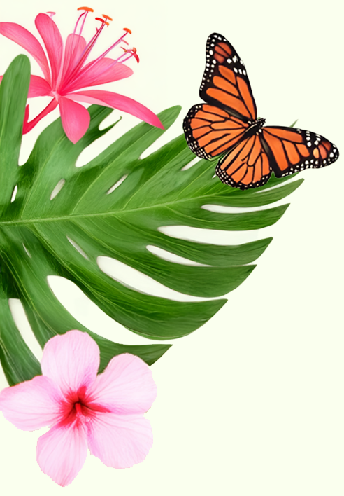 Decorative site imagery of leaves and flowers with a monarch butterfly resting